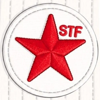 Taekwondo Foundation 3 badge for young children in Singapore