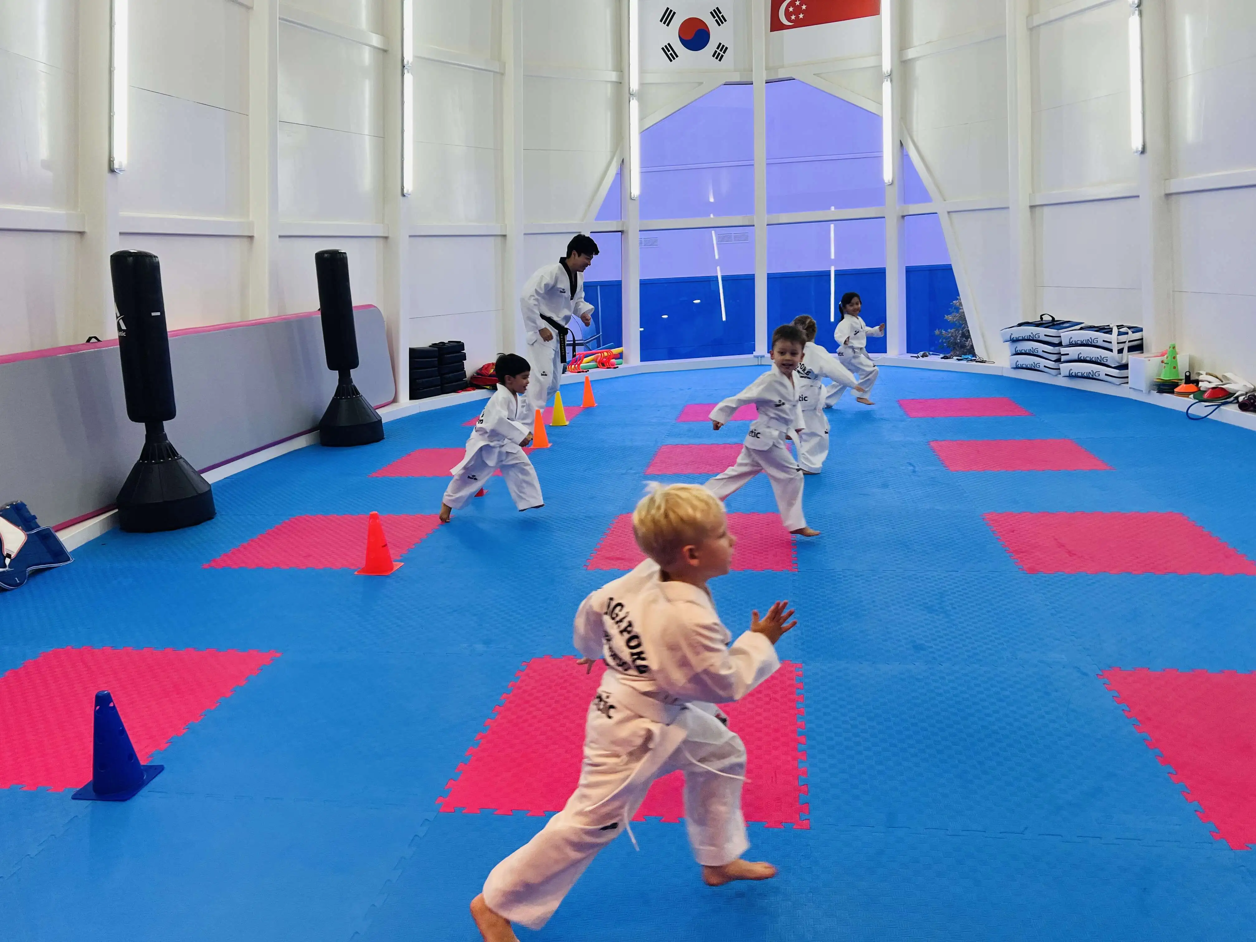 Toddlers Taekwondo Classes